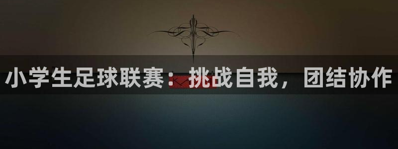  小学生足球联赛：挑战自我，团结协作