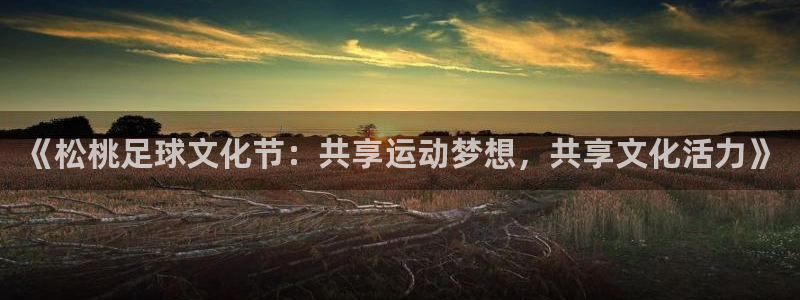 《松桃足球文化节：共享运动梦想，共享