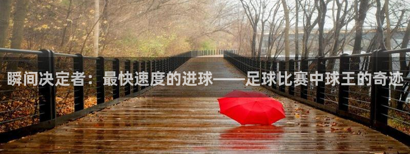 瞬间决定者：最快速度的进球——足球比赛中球王的奇迹