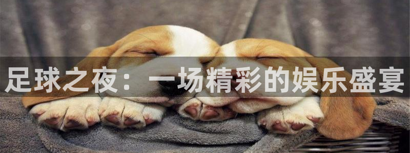  足球之夜：一场精彩的娱乐盛宴