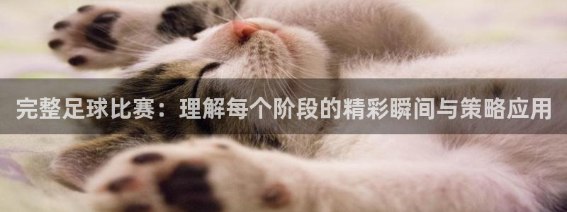 完整足球比赛：理解每个阶段的精彩瞬间与策略应用