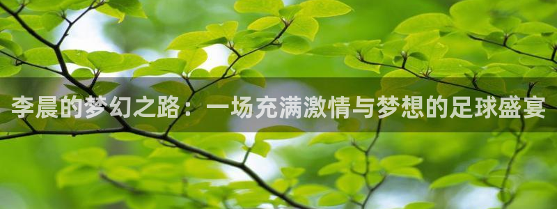  李晨的梦幻之路：一场充满激情与梦想的足球盛宴