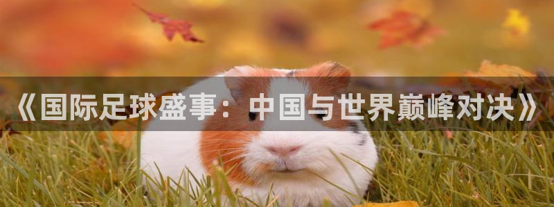 《国际足球盛事：中国与世界巅峰对决》