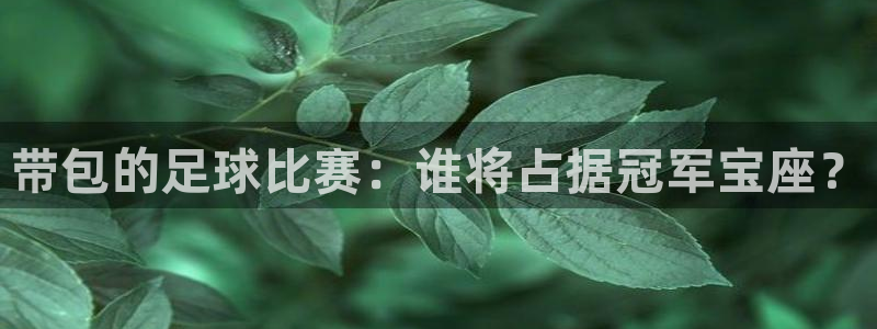 带包的足球比赛：谁将占据冠军宝座？