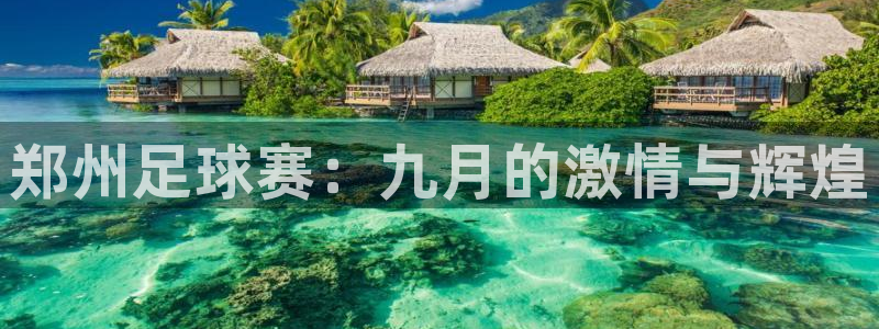 郑州足球赛：九月的激情与辉煌
