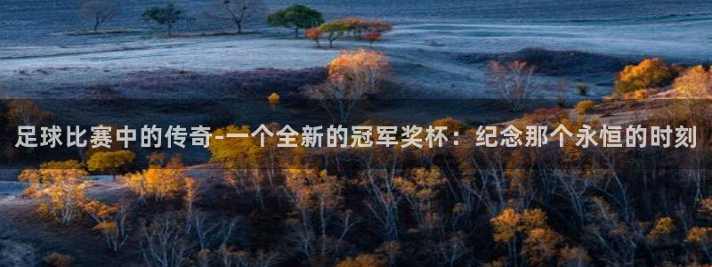  足球比赛中的传奇-一个全新的冠军奖杯：纪念那个永恒的时刻