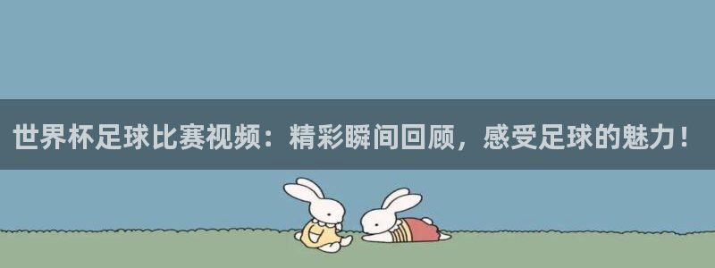  世界杯足球比赛视频：精彩瞬间回顾，感受足球的魅力！