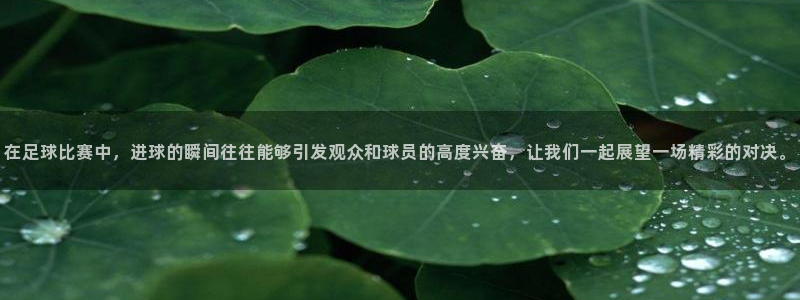 在足球比赛中，进球的瞬间往往能够引发观众和球员的高度兴奋，让