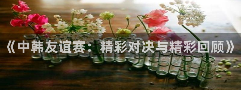 《中韩友谊赛：精彩对决与精彩回顾》