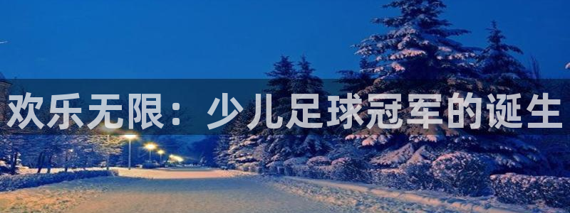  欢乐无限：少儿足球冠军的诞生