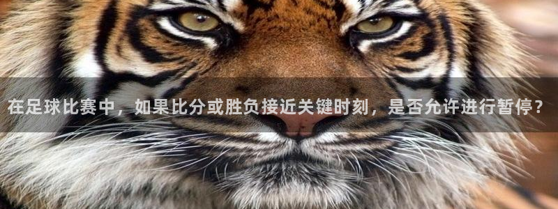  在足球比赛中，如果比分或胜负接近关键时刻，是否允许进行暂停？