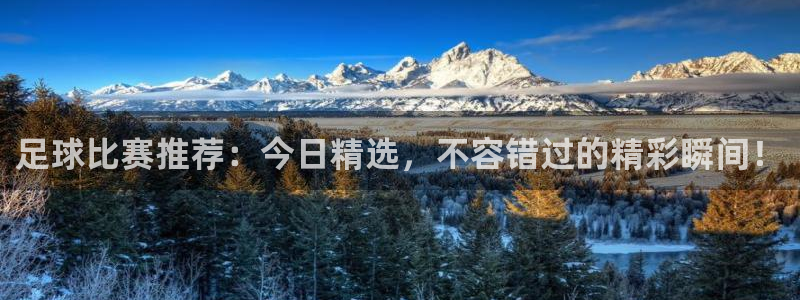 足球比赛推荐：今日精选，不容错过的精