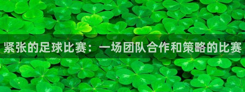 紧张的足球比赛：一场团队合作和策略的