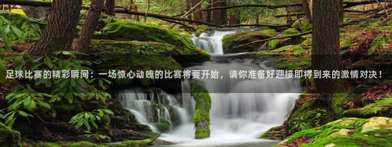 足球比赛的精彩瞬间：一场惊心动魄的比