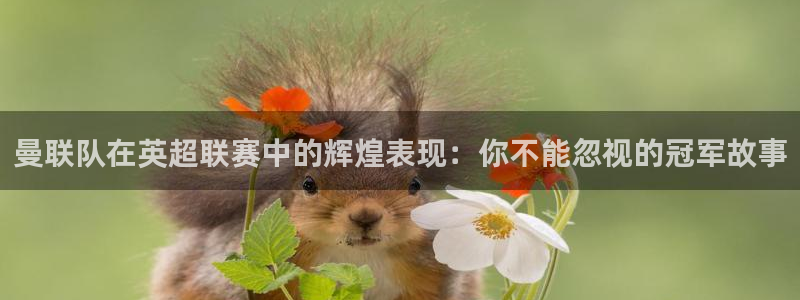 曼联队在英超联赛中的辉煌表现：你不能