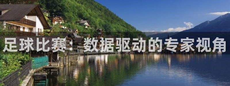 足球比赛：数据驱动的专家视角