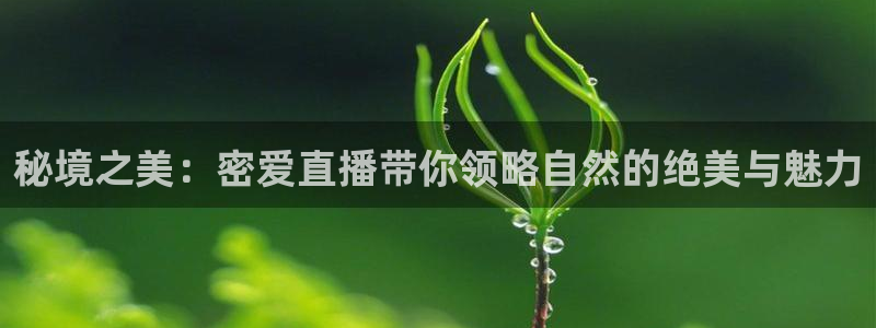 极速体育直播免费观看：秘境之美：密爱直播带你领略自然的绝美与魅力