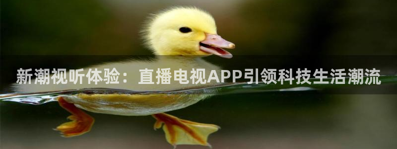 极速nba直播在线观看免费高清：新潮视听体验：直播电视APP引领科技生活潮流